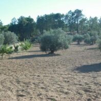 CAMPO EN VILLABLANCA