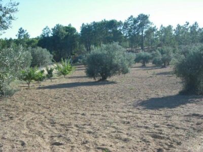 CAMPO EN VILLABLANCA