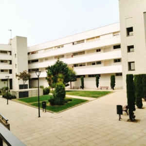 PISO CENTRICO